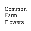 Common Farm Flowers logo