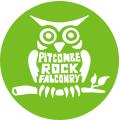 Pitcombe Rock Falconry logo