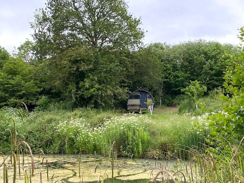 Planning permission given for Glamping-pod in Dorset Two Hoots