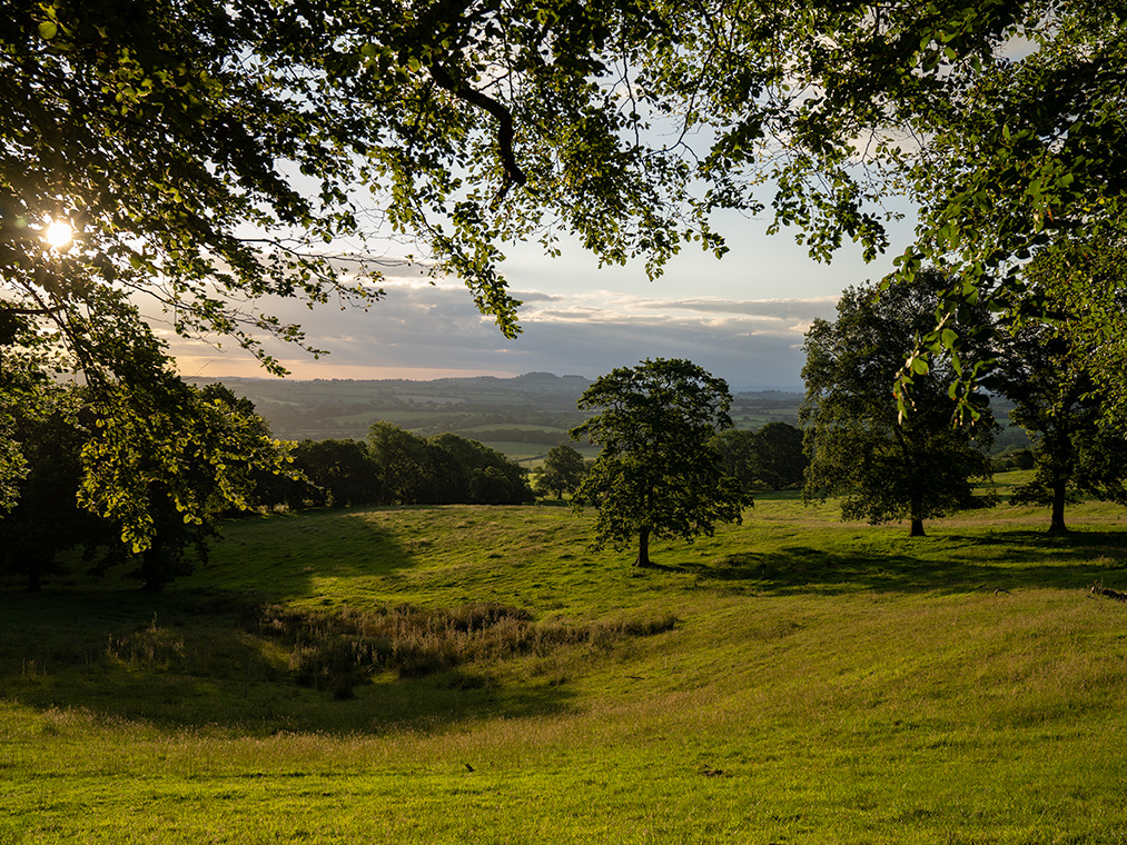 View across Somerset landscape towards Bruton from Brewham in South Somerset