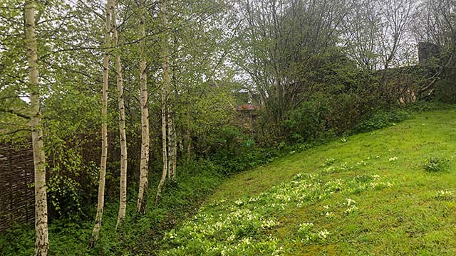 Permitted development in back garden of Bradford on Avon home